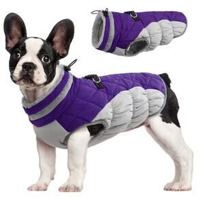 FUAMEY Dog Coat for Small Dogs Waterproof Winter Jacket Harness Size XS (C59)